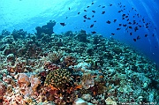 Ambiance-Maldives Dhidhoo beyru-19m-20240425-da-DSC_6883_tn